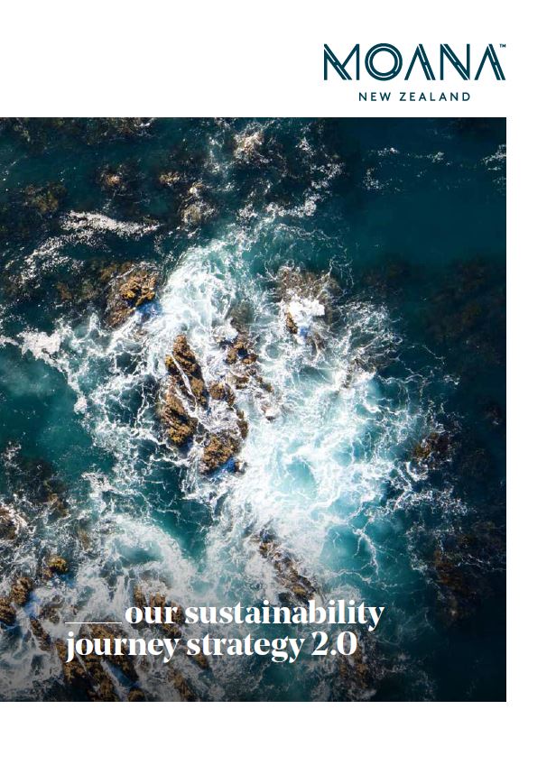 Our Sustainability Journey Strategy 2 0 Moana New Zealand