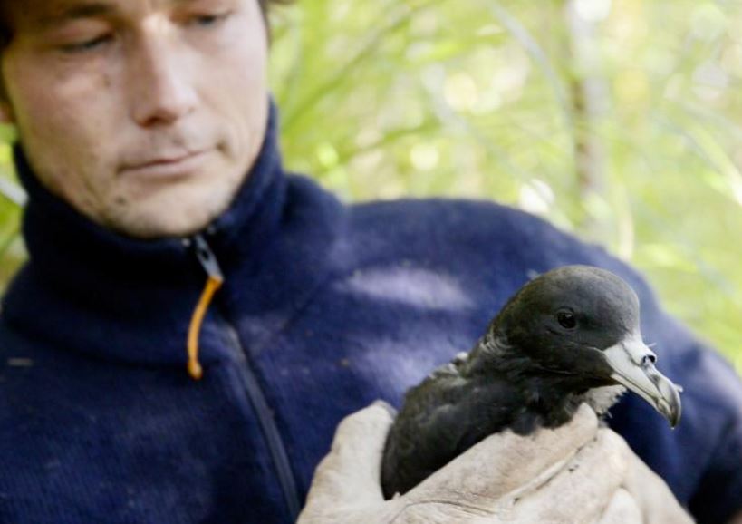 Seabird SMART Training