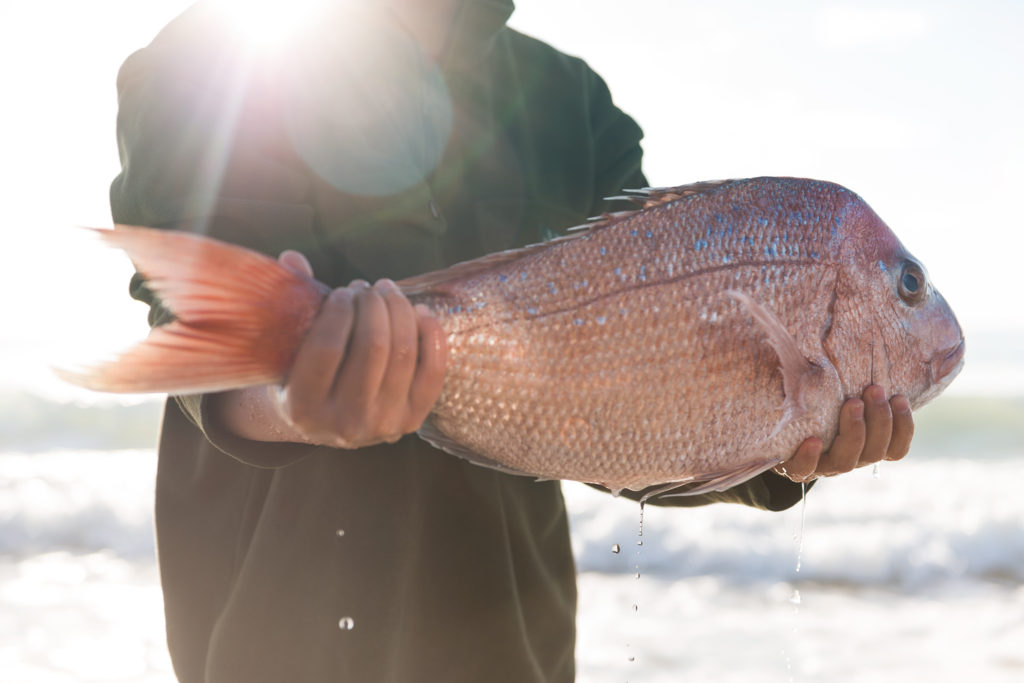 Responsible Fisher Workshops