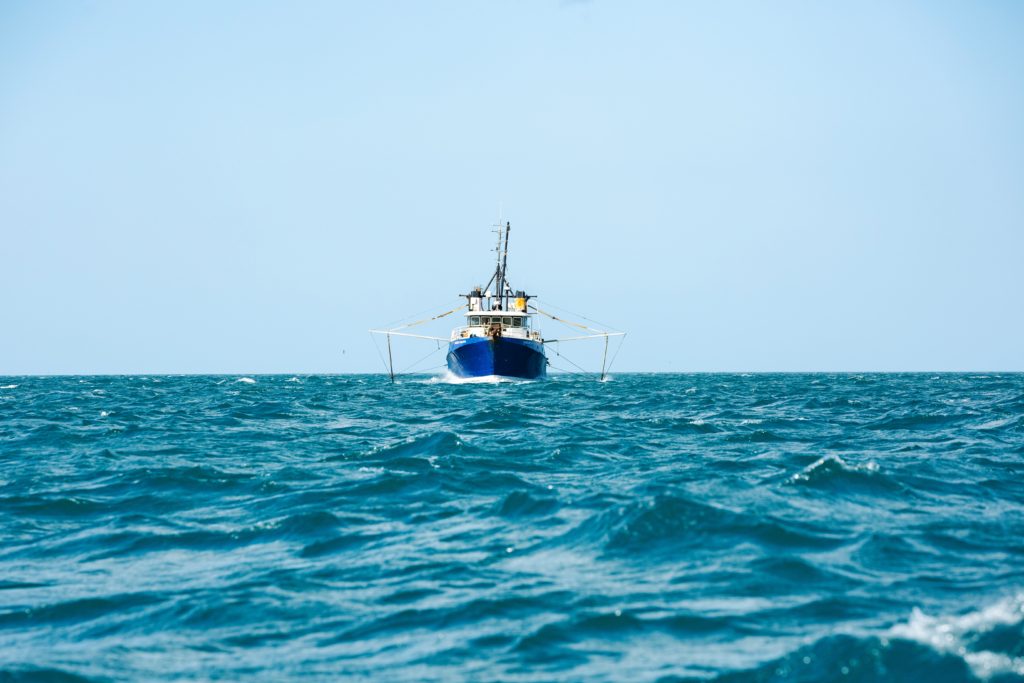 Statement on the Proposed Changes to the Fisheries Act 1996