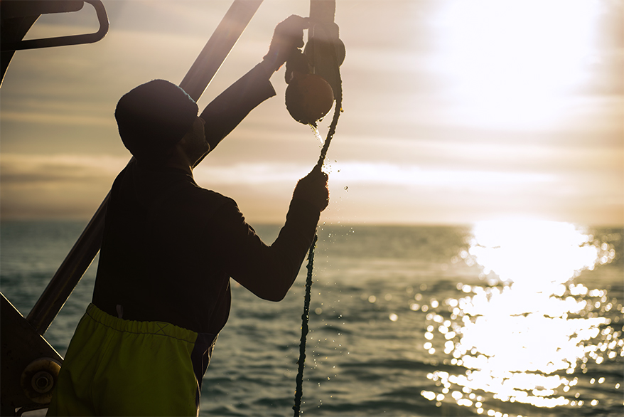 Review of Moana New Zealand contract fishers’ gear and practices reveals notable progress on reducing seabed contact