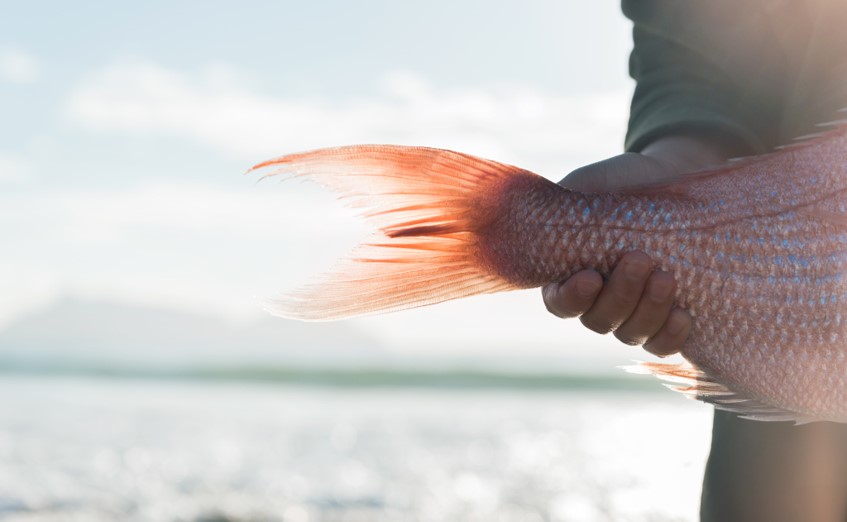Moana New Zealand welcomes sensible proposal for industry reforms