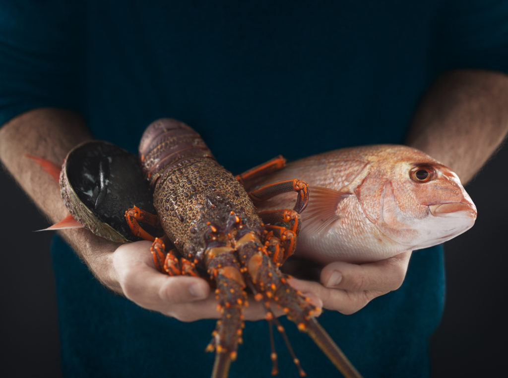 Wellington Kaimoana Hub a game changer for regional, iwi-owned seafood businesses