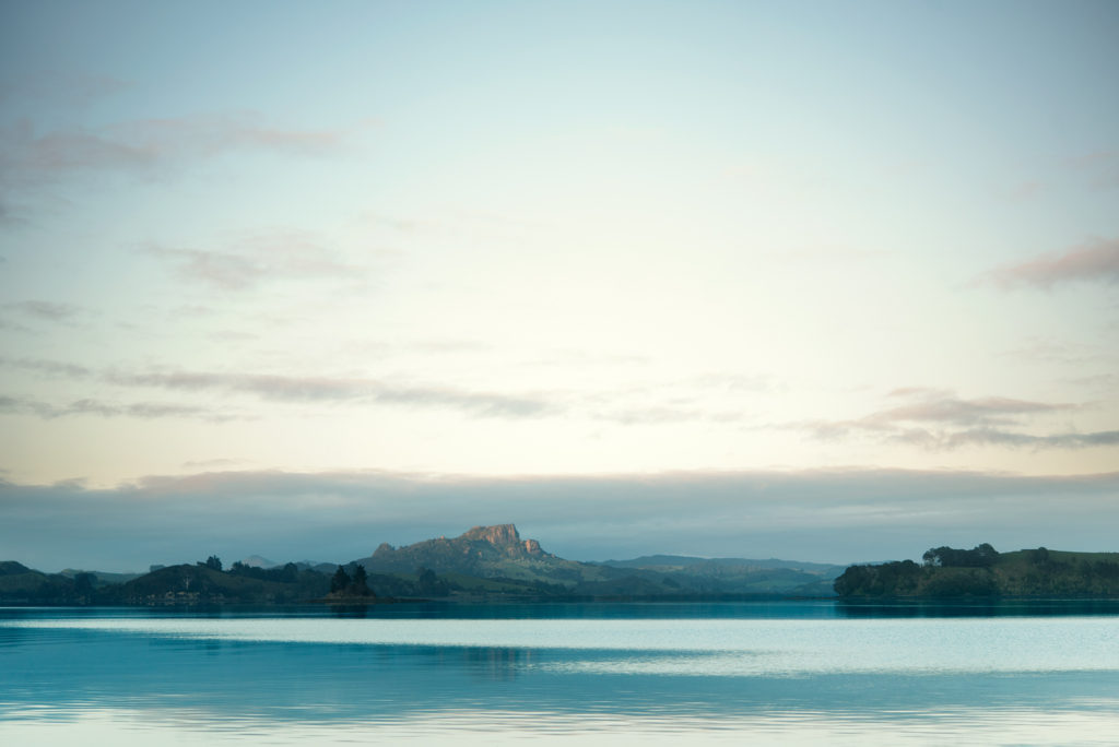 Moana New Zealand kaimahi discovered lost tohorā and moved swiftly to help